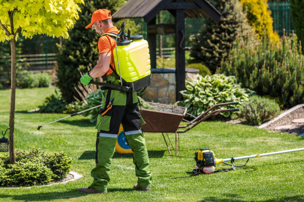 Best Pest Exclusion Services  in Garden Grove, CA